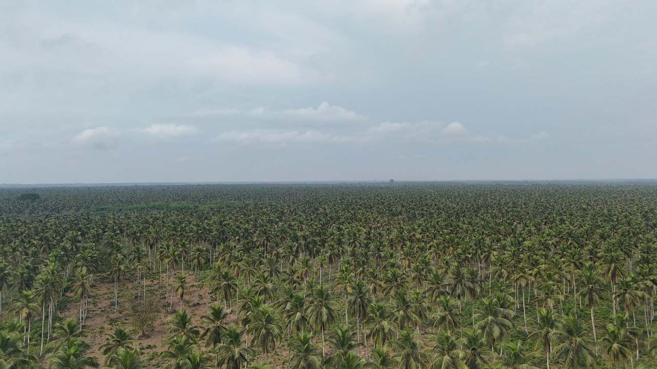 Lotissement bord de mer — Vue drone 12